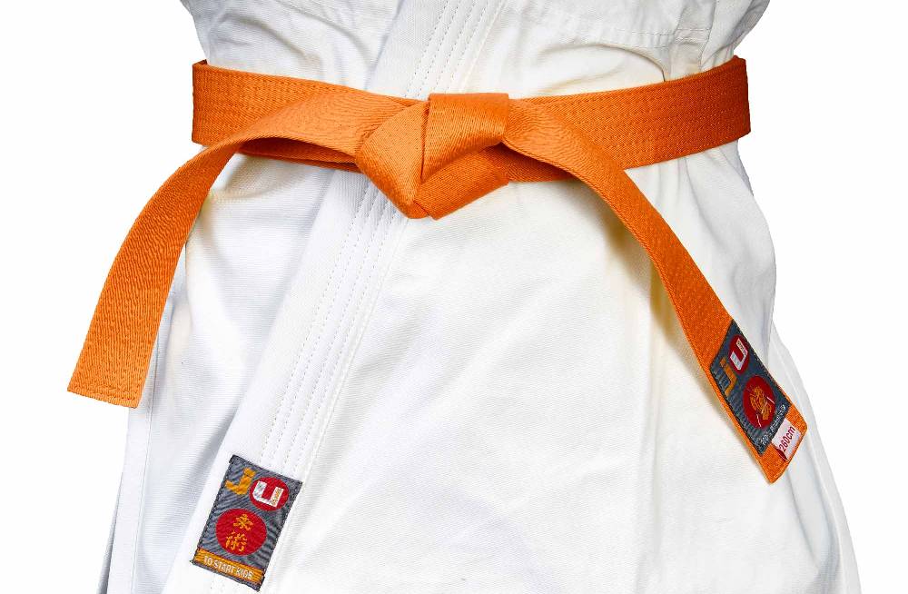 Ju Sports Budogürtel orange im Angebot
