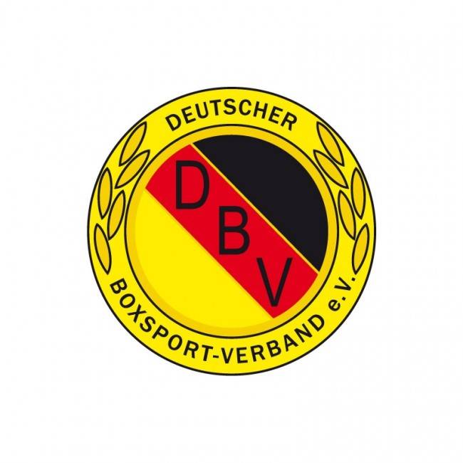 Ju Sports DBV Lizenzmarke Boxhandschuhe