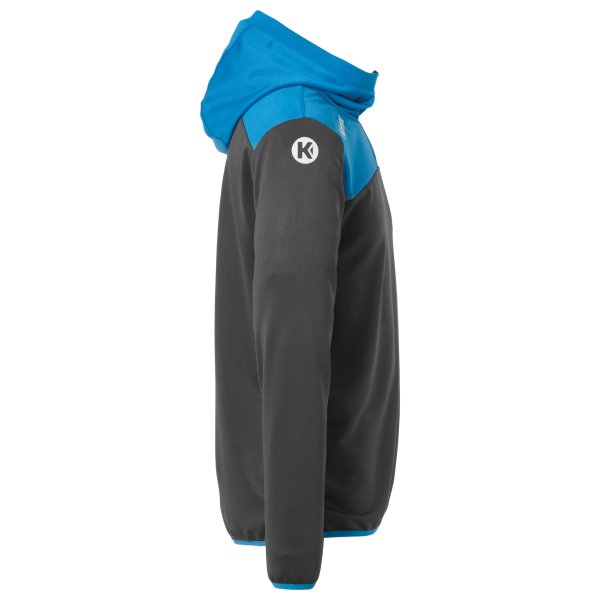 Kempa EMOTION 2.0 QUARTER ZIP HOODY Große Rabatte