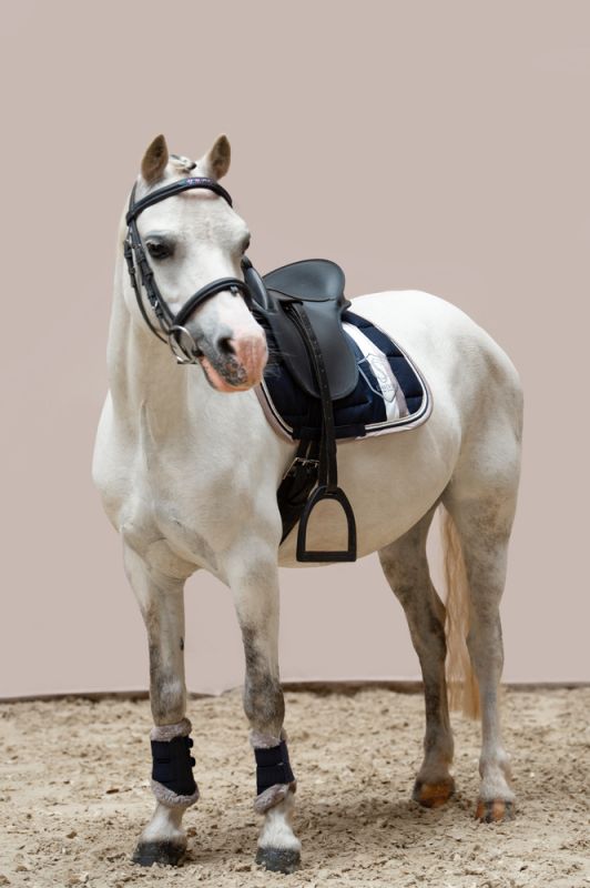 Pikeur BIG SQUARE COTTON Shetty Meist gekauft