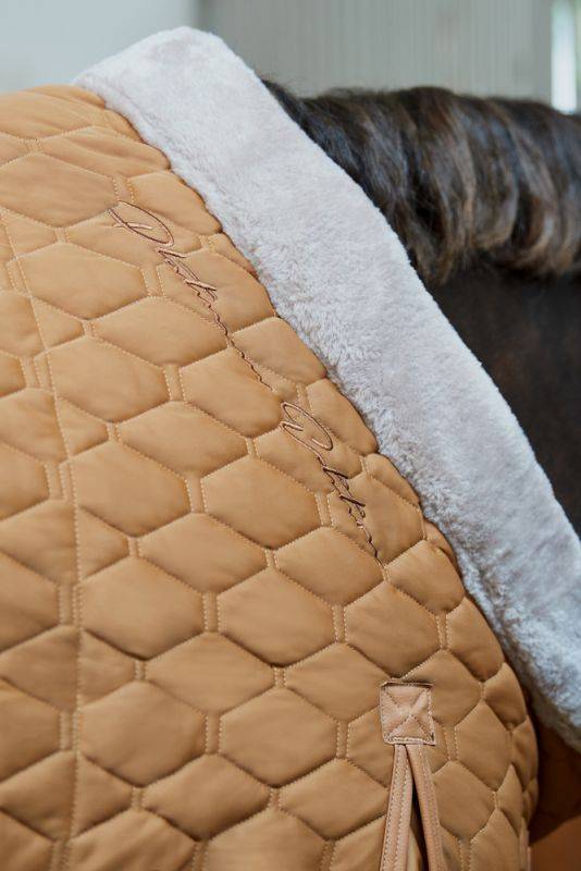Pikeur ZETA 150 Fabrikverkauf