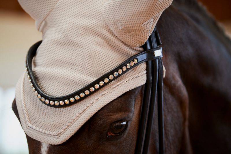 Pikeur MESH Verkauf