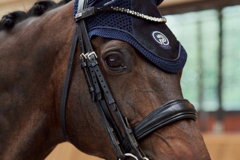 Pikeur GLITTER MESH Blitzverkäufe