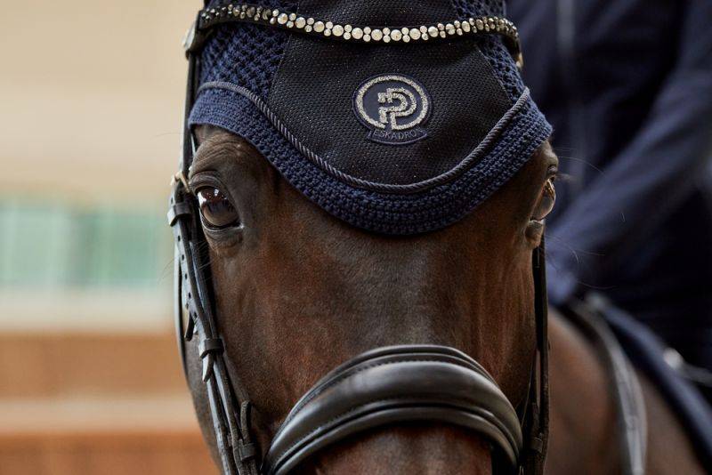 Pikeur GLITTER MESH Blitzverkäufe