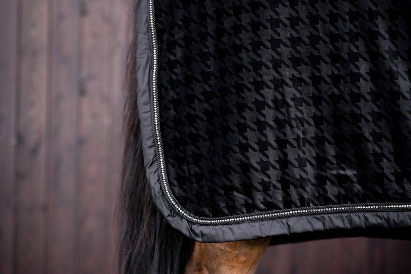 Pikeur VELVET Essence Limited Fabrikverkauf