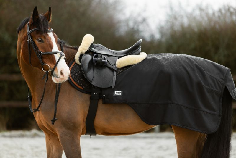 Pikeur 2 in 1 Auslauf