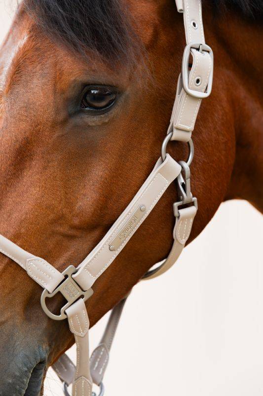 Pikeur LEATHER DOUBLE PIN Hotsell