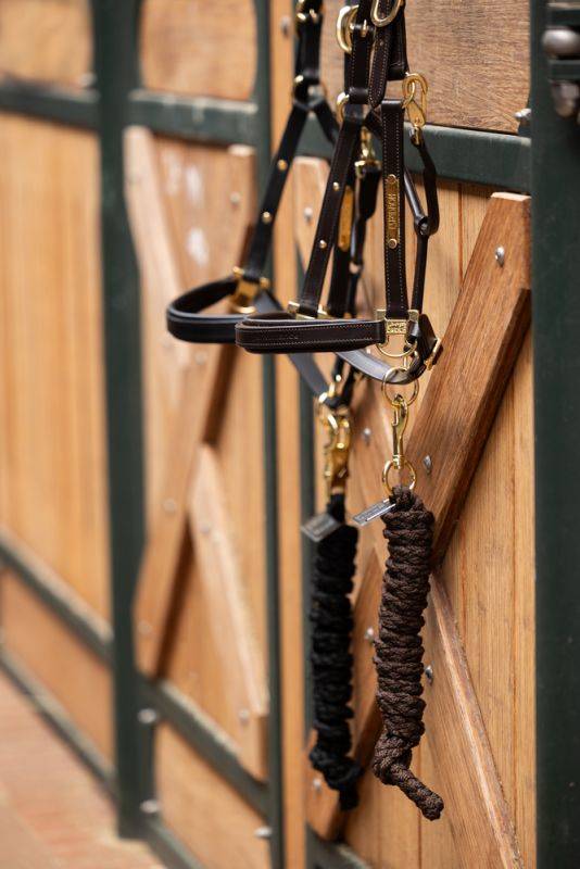 Pikeur LEATHER ELEGANCE im Angebot