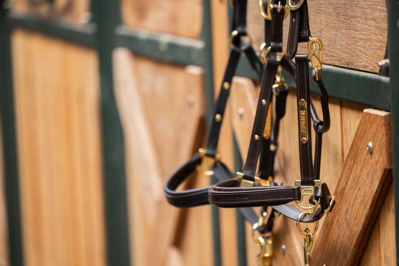 Pikeur LEATHER ELEGANCE im Angebot
