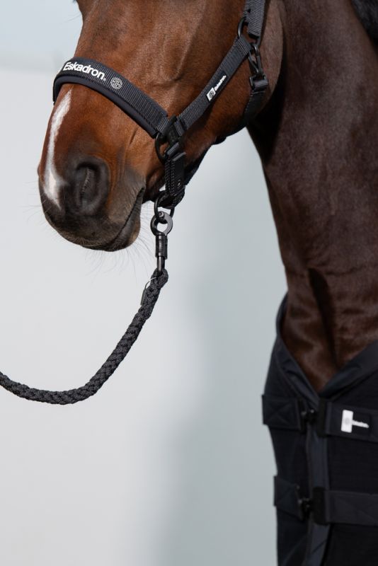 Pikeur Double-Pin Schlussverkauf