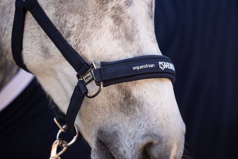 Pikeur DOUBLE PIN BUCKLE Hotsell