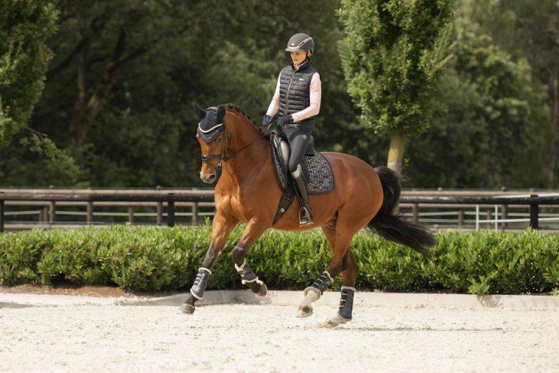 Pikeur GLOSSY HERITAGE Verkauf