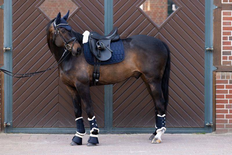 Pikeur COTTON EVO-WOOL Fabrikverkauf