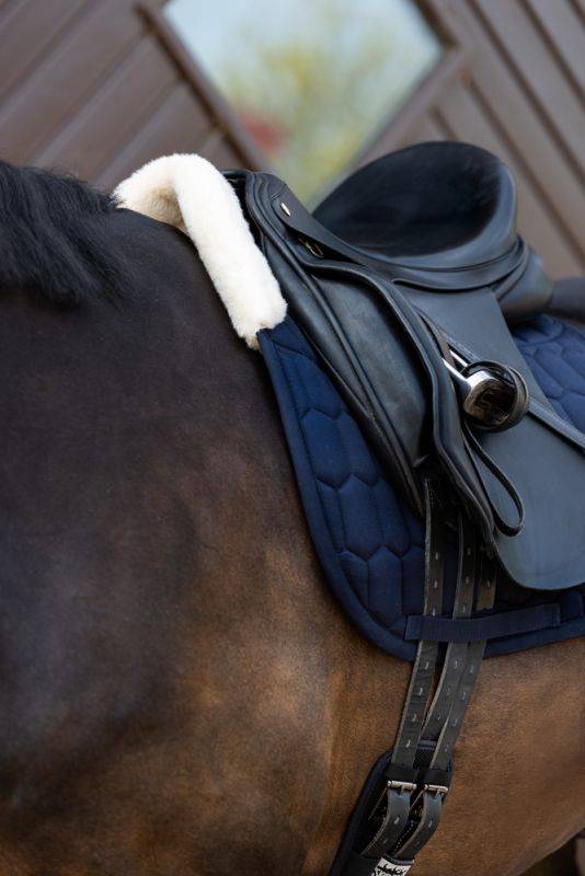 Pikeur COTTON EVO-WOOL Fabrikverkauf