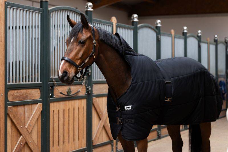 Pikeur THERMO COTTON 240 Blitzverkäufe
