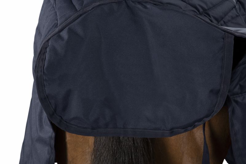 Pikeur ZETA 200 Online