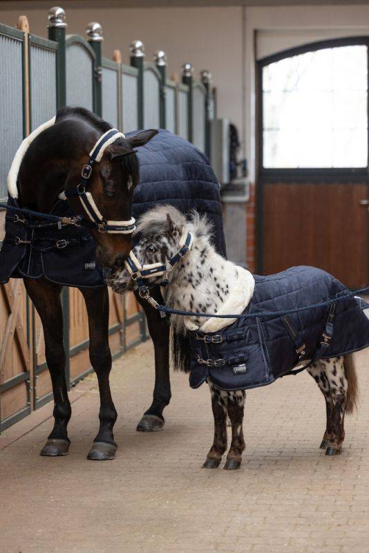 Pikeur ZETA 200 SHETTY Outlet