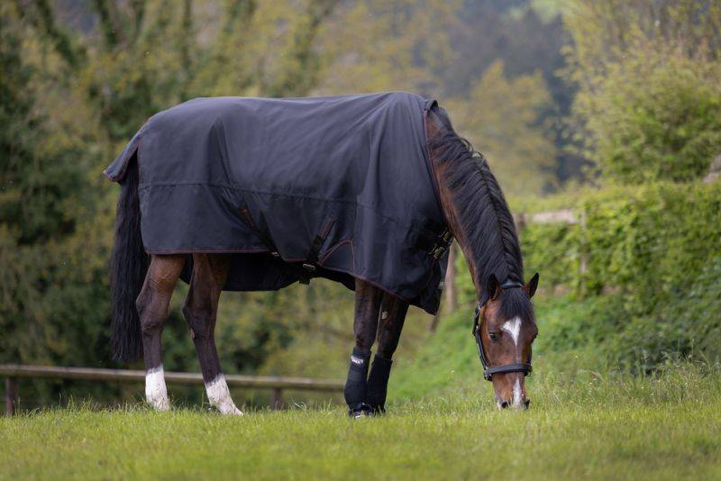 Pikeur GAMMA Meshlining Auslauf