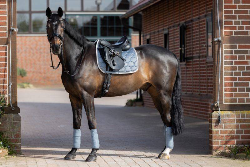 Pikeur GLOSSY WAVE CONTRAST Angebote