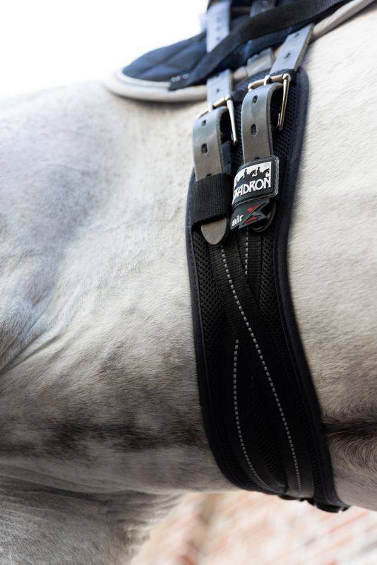 Pikeur MESH DRESSAGE Günstiger Verkauf