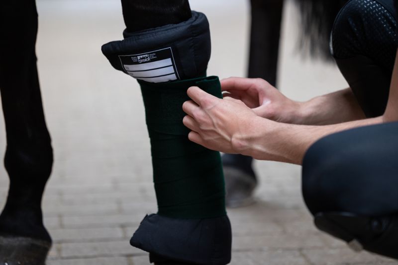 Pikeur MICRO PADS Meist gekauft