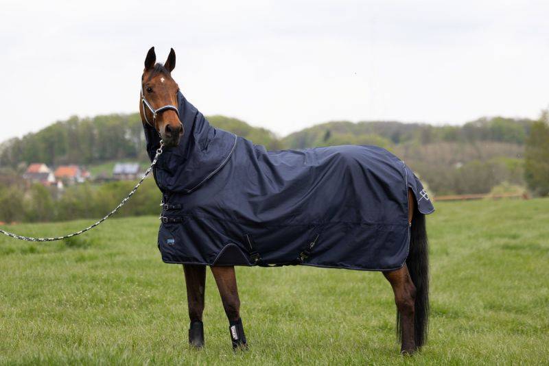 Pikeur OMEGA Fleecelining Online