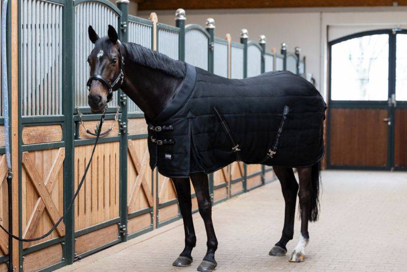 Pikeur SIGMA STABLE 100 Verkauf