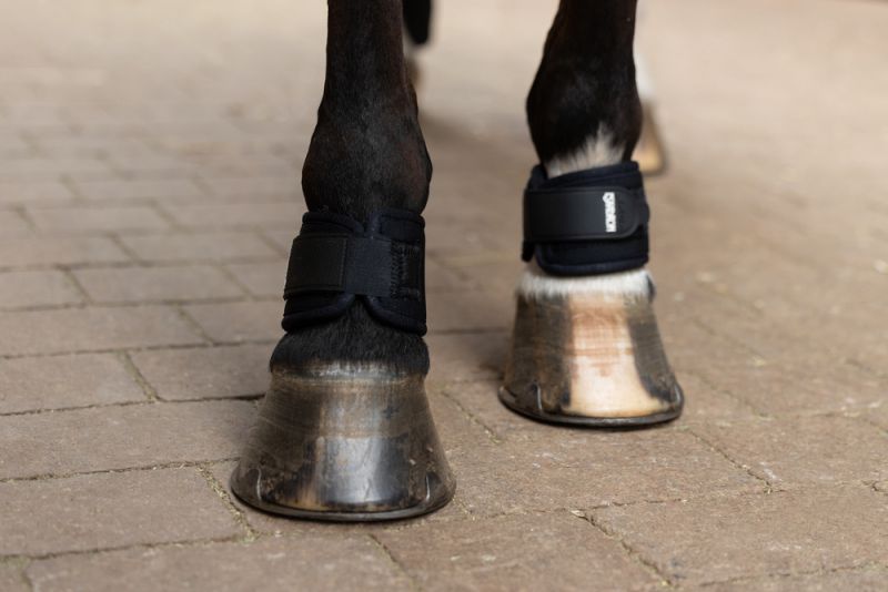 Pikeur NEO Blitzverkäufe