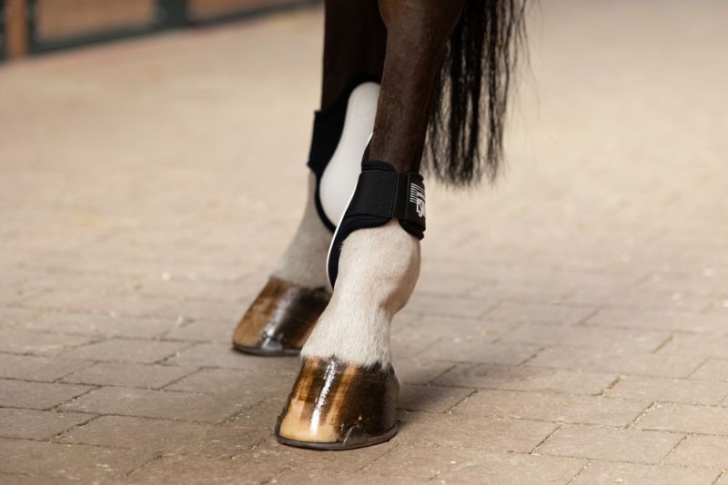 Pikeur PROTECTION ELASTIC H Fabrikverkauf