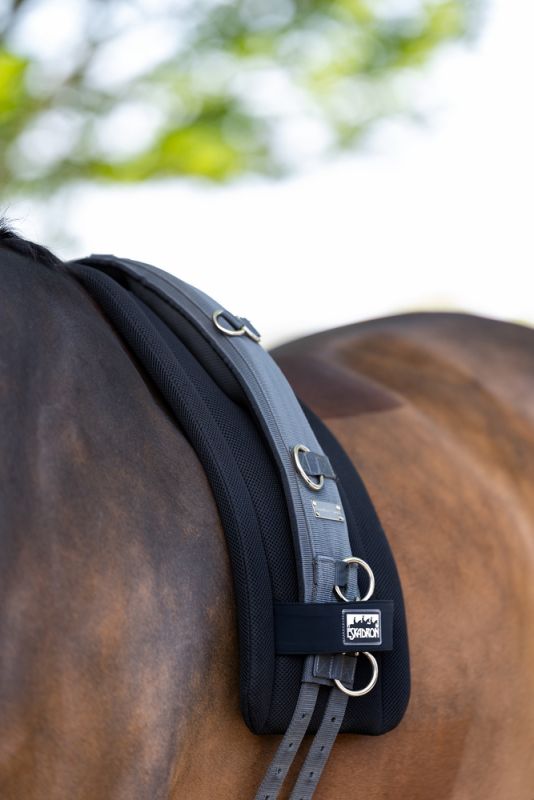 Pikeur PAD MESH im Angebot