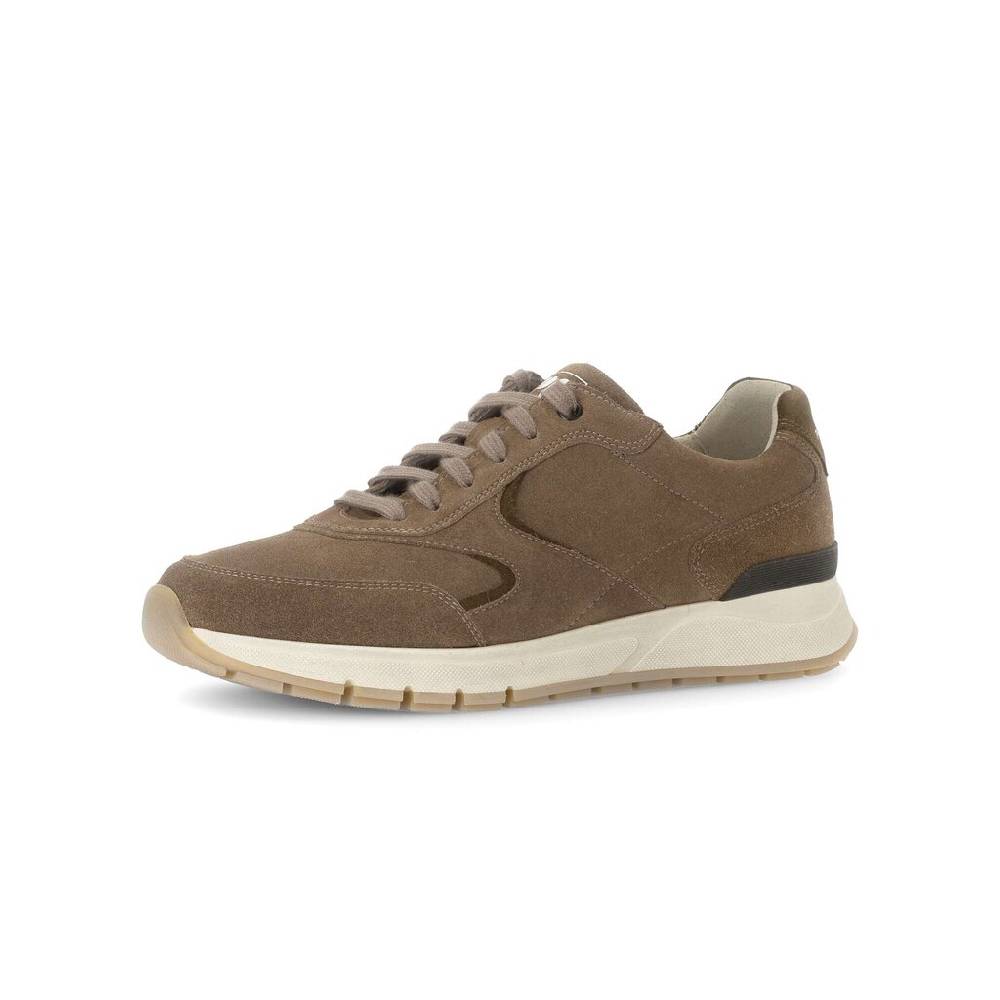 Pius Gabor Pius Gabor Sneaker low beige Online