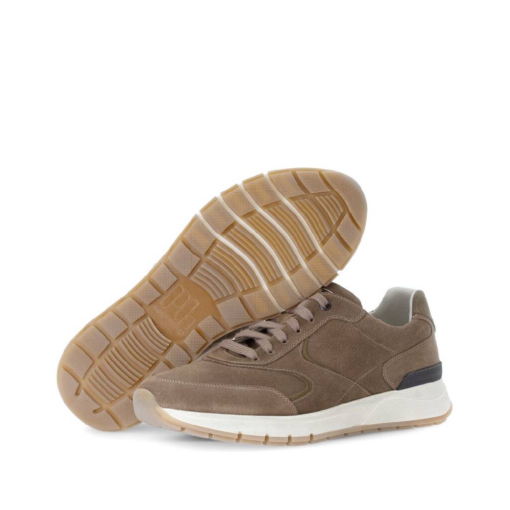 Pius Gabor Pius Gabor Sneaker low beige Online