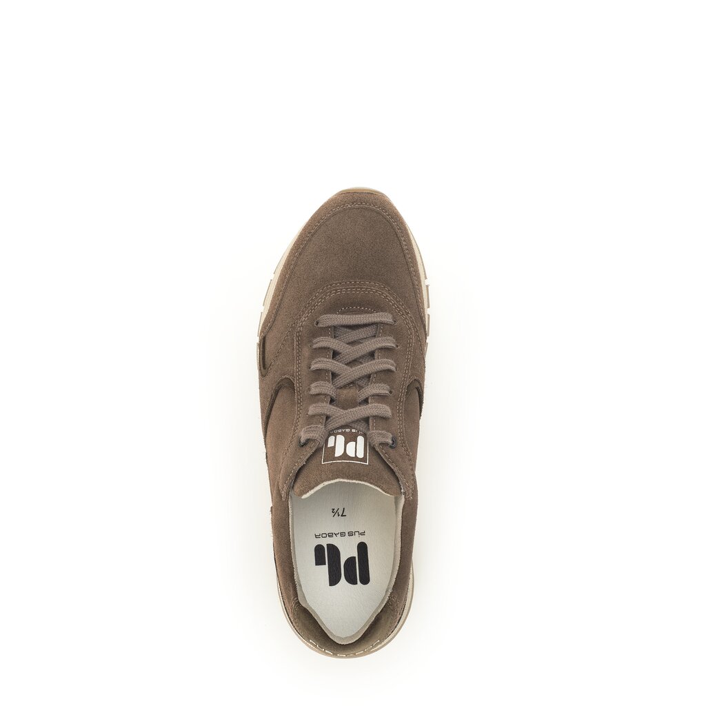Pius Gabor Pius Gabor Sneaker low beige Online