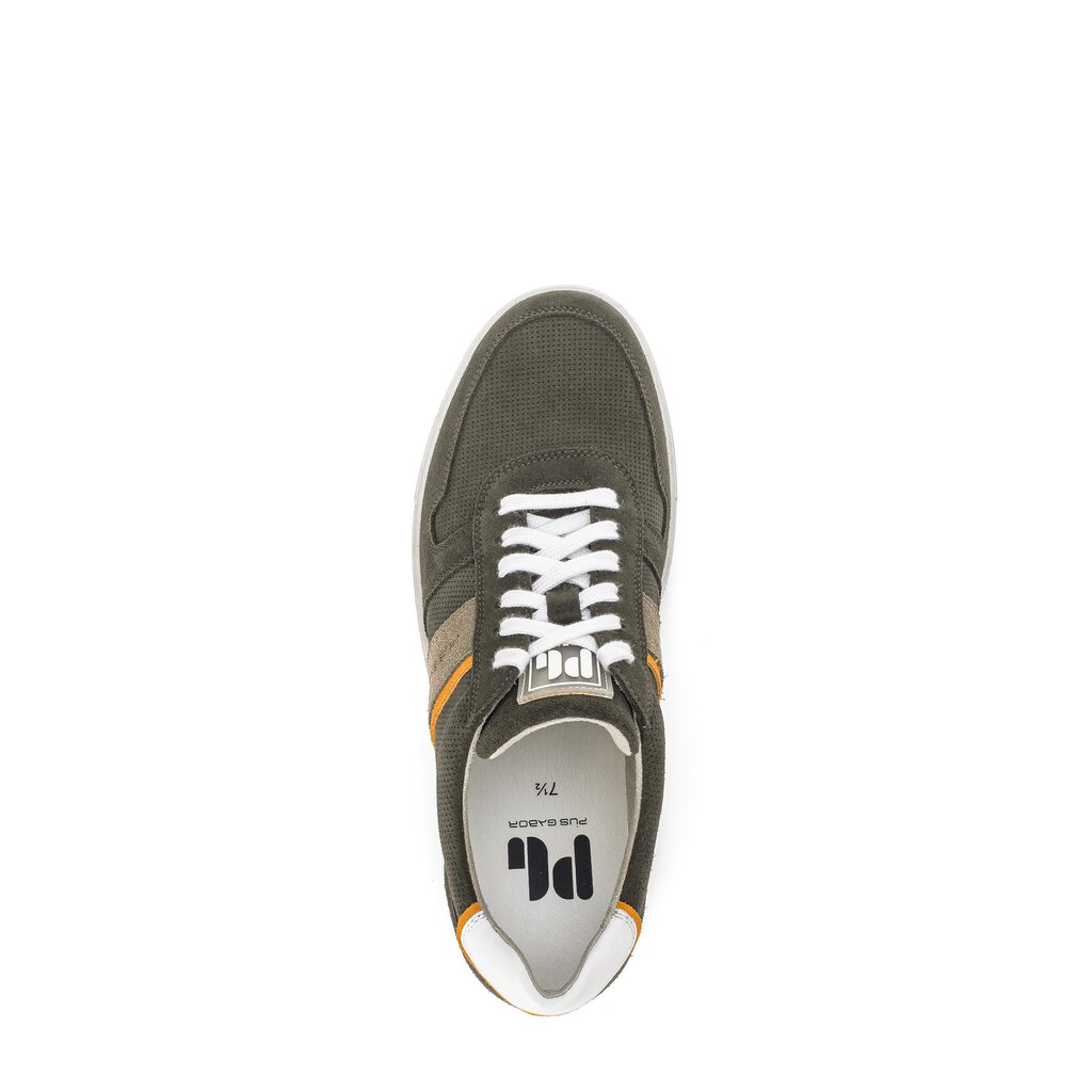 Pius Gabor Pius Gabor Sneaker low grün Schlussverkauf