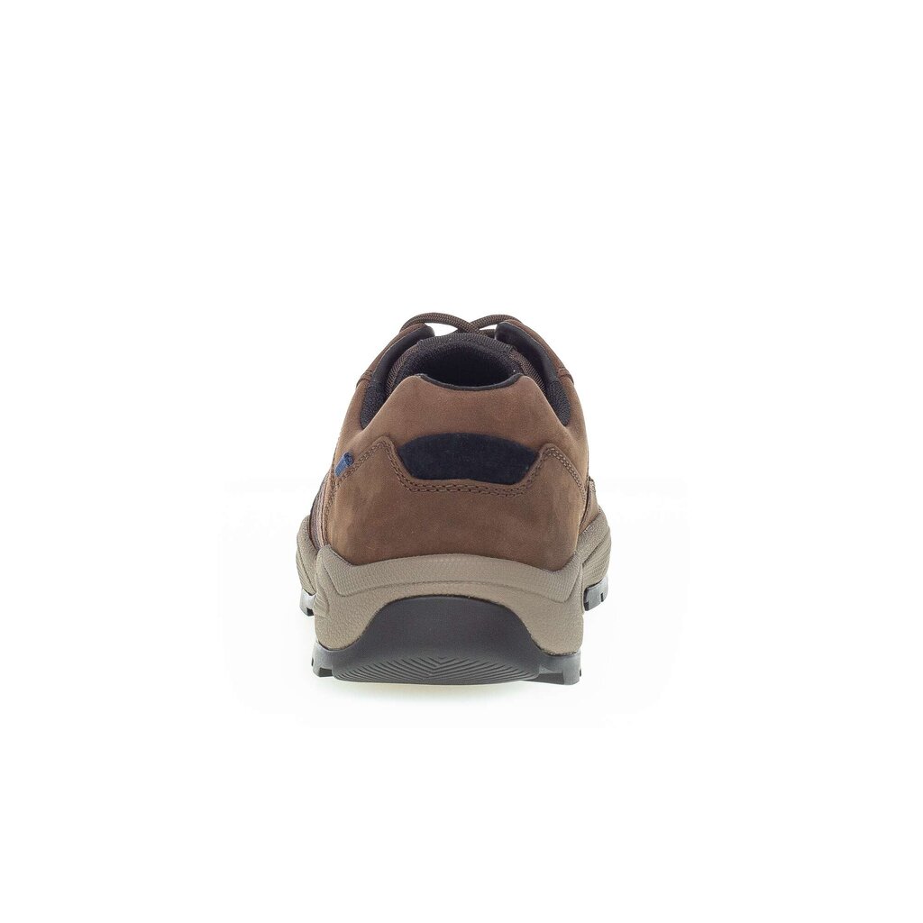 Pius Gabor Pius Gabor Sneaker low braun Online Shopping