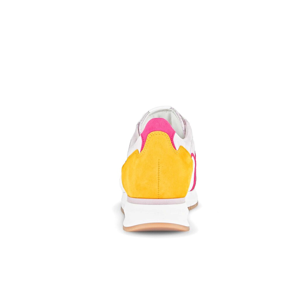 Pius Gabor Sneaker low multicolour Online Shopping