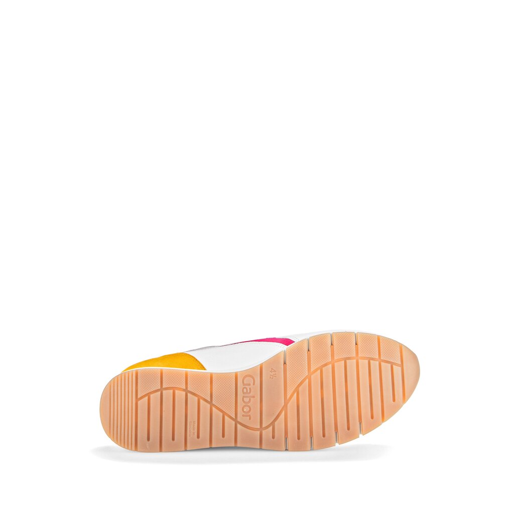 Pius Gabor Sneaker low multicolour Online Shopping