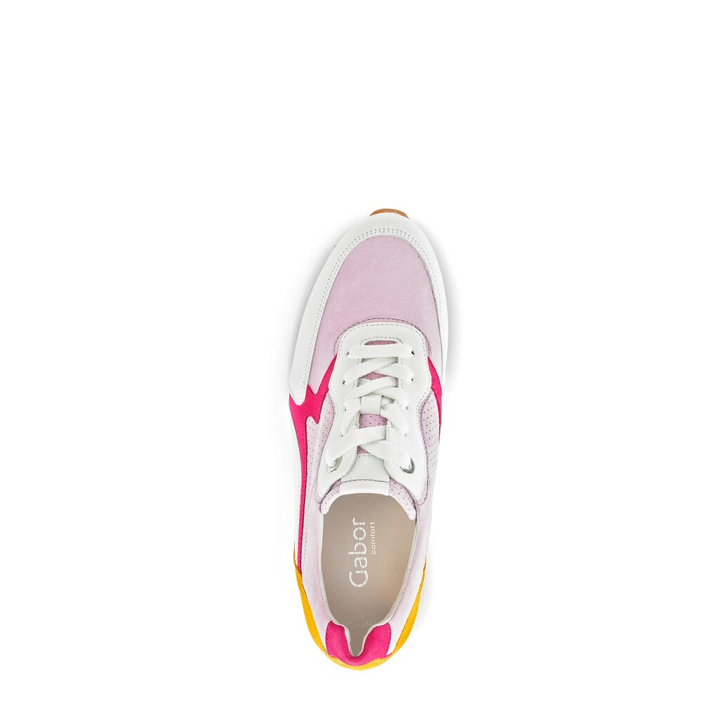 Pius Gabor Sneaker low multicolour Online Shopping