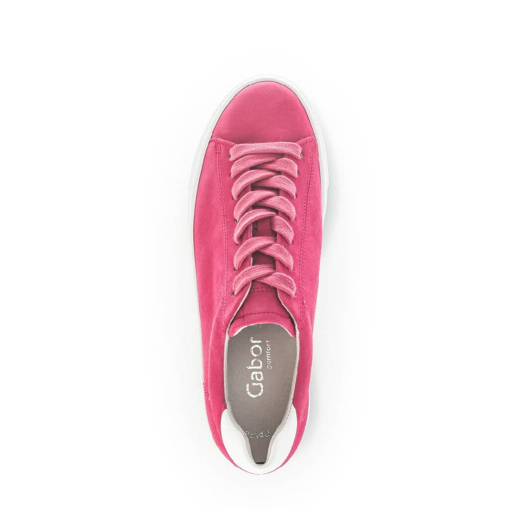Pius Gabor Sneaker low pink Saisonschlussverkauf
