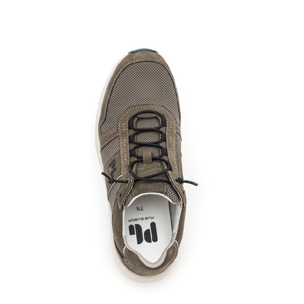 Pius Gabor Pius Gabor Sneaker low braun 2025