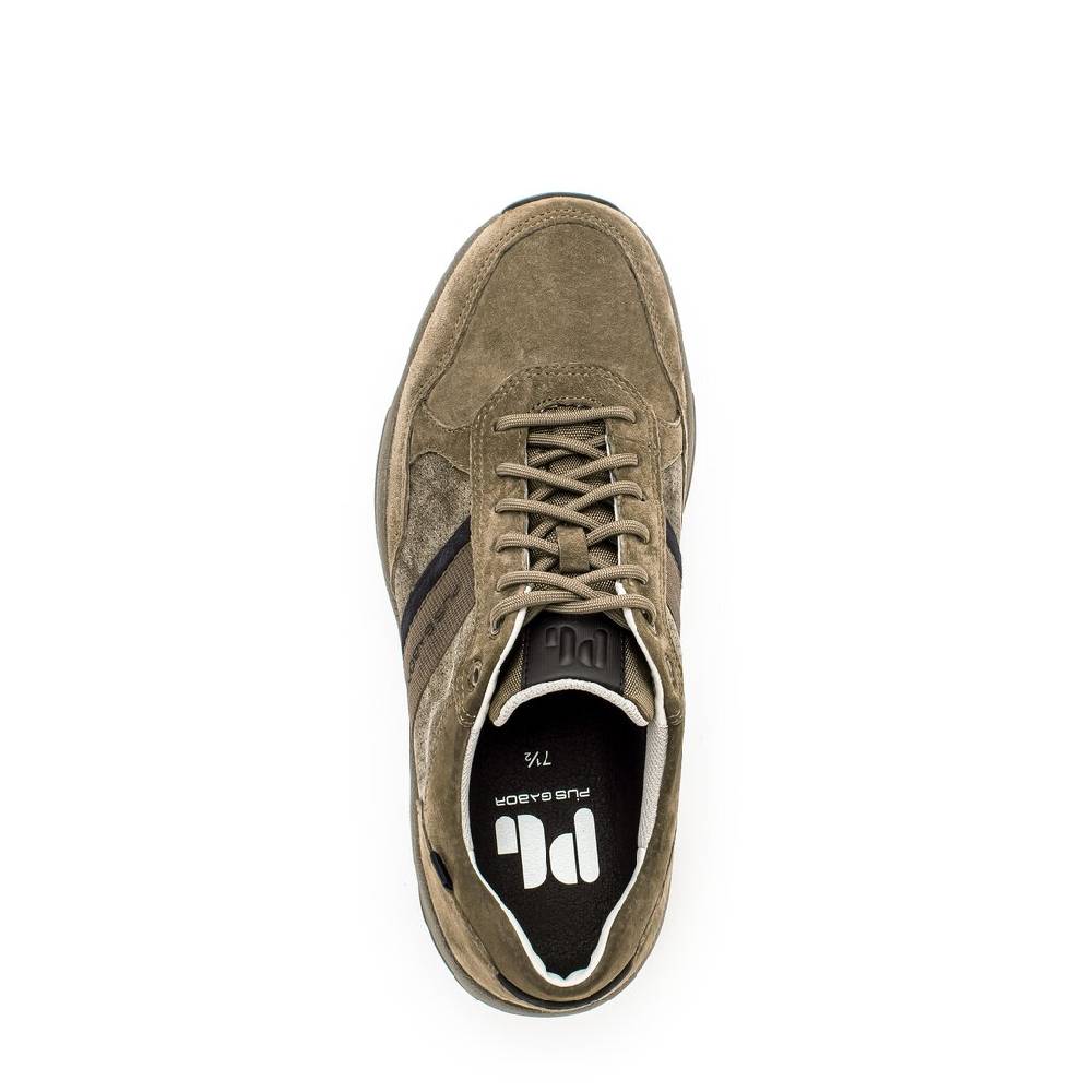 Pius Gabor Pius Gabor Sneaker low beige Verkauf