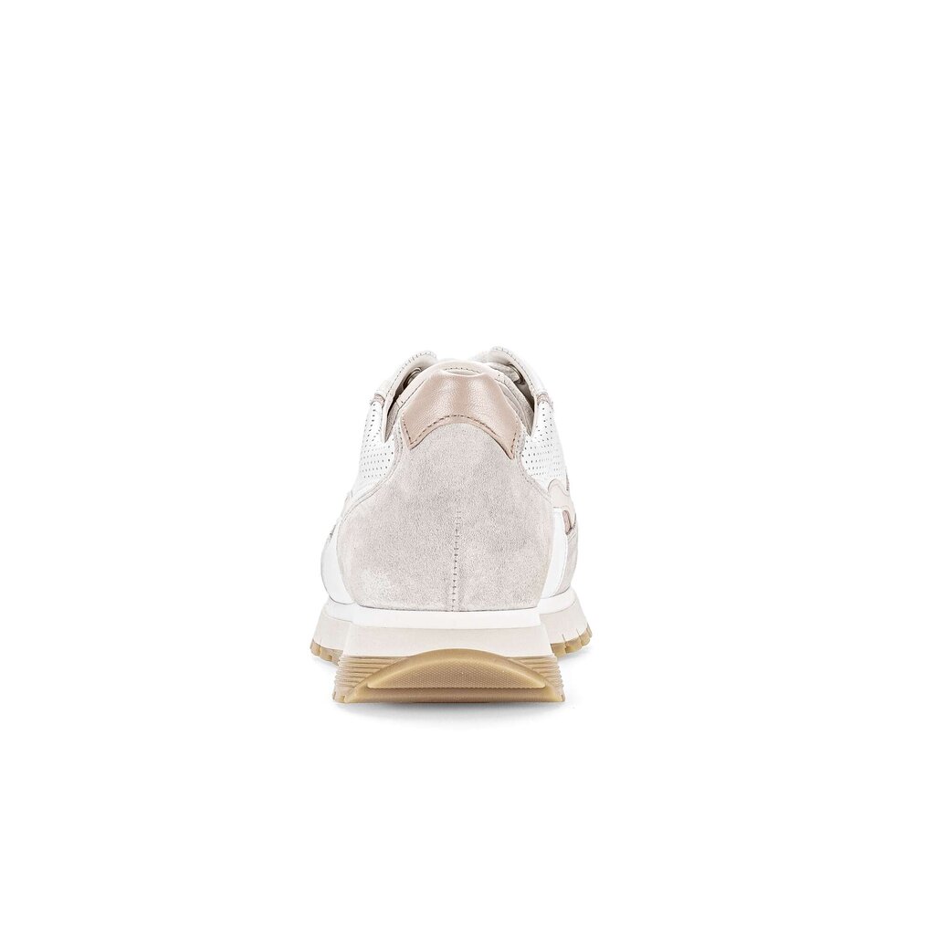 Pius Gabor Sneaker low multicolour Kostenlose Rückgabe