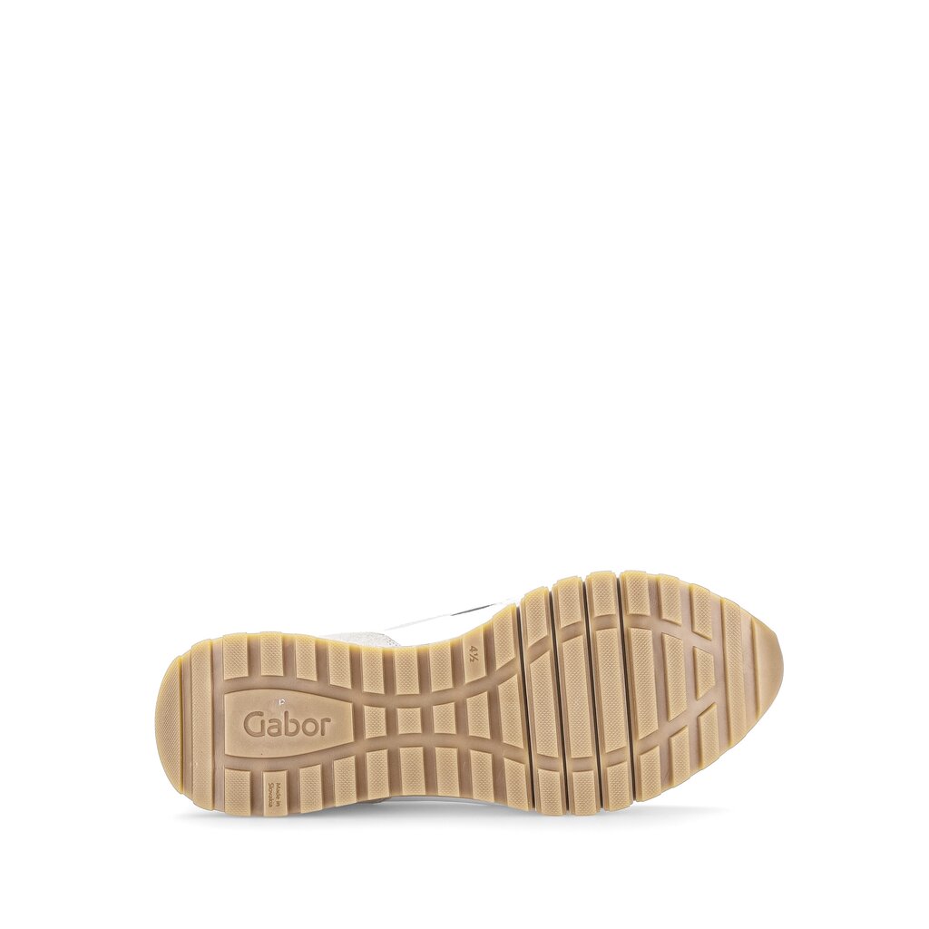 Pius Gabor Sneaker low multicolour Kostenlose Rückgabe