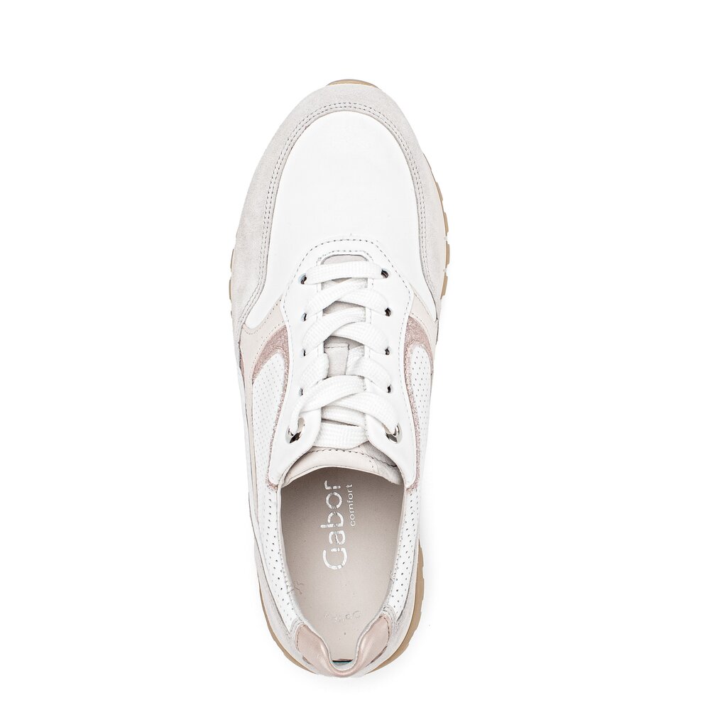 Pius Gabor Sneaker low multicolour Kostenlose Rückgabe