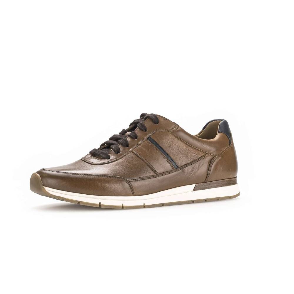Pius Gabor Pius Gabor Sneaker low braun Black Friday Preise