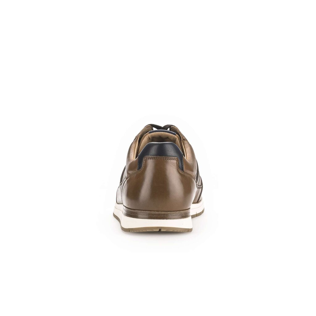 Pius Gabor Pius Gabor Sneaker low braun Black Friday Preise