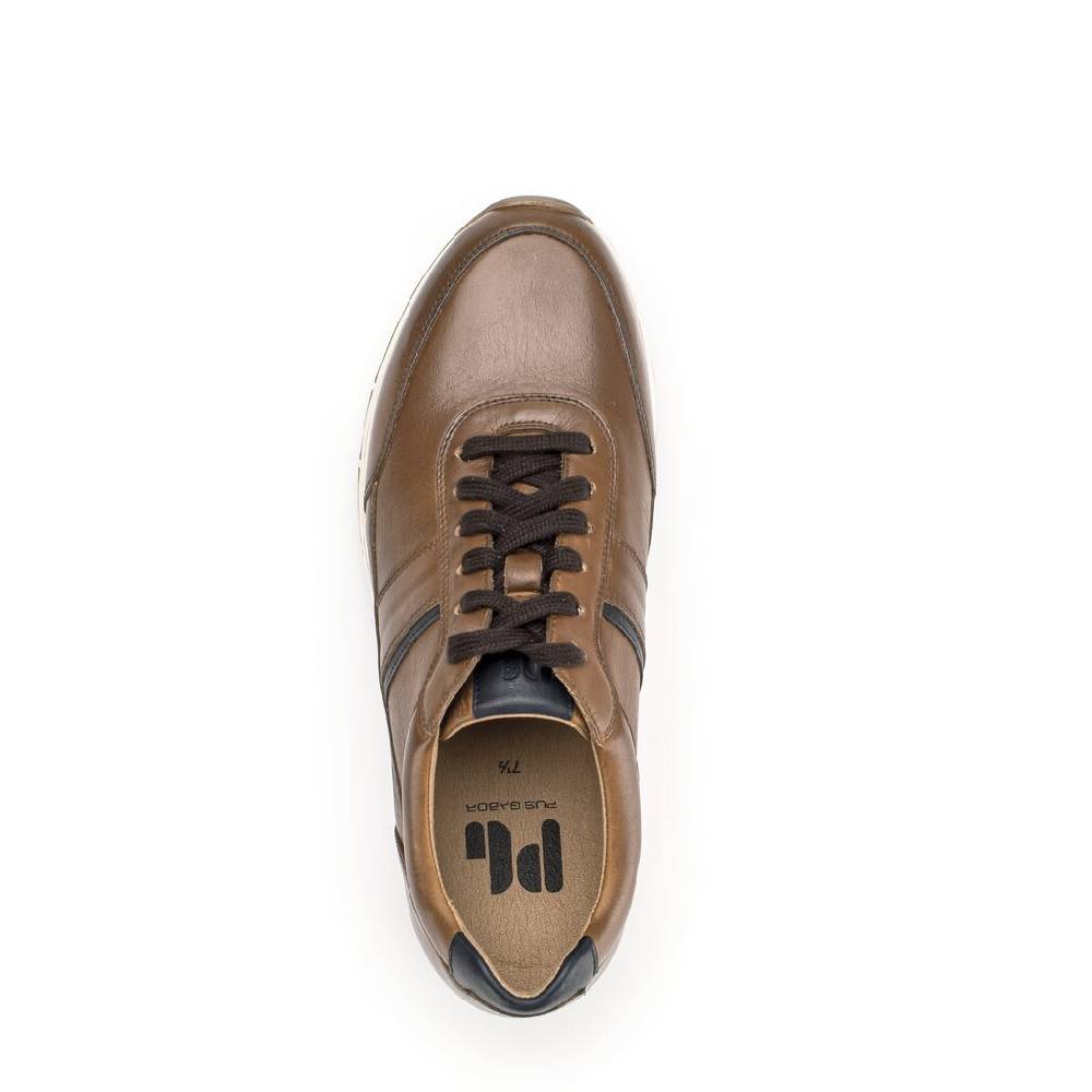 Pius Gabor Pius Gabor Sneaker low braun Black Friday Preise
