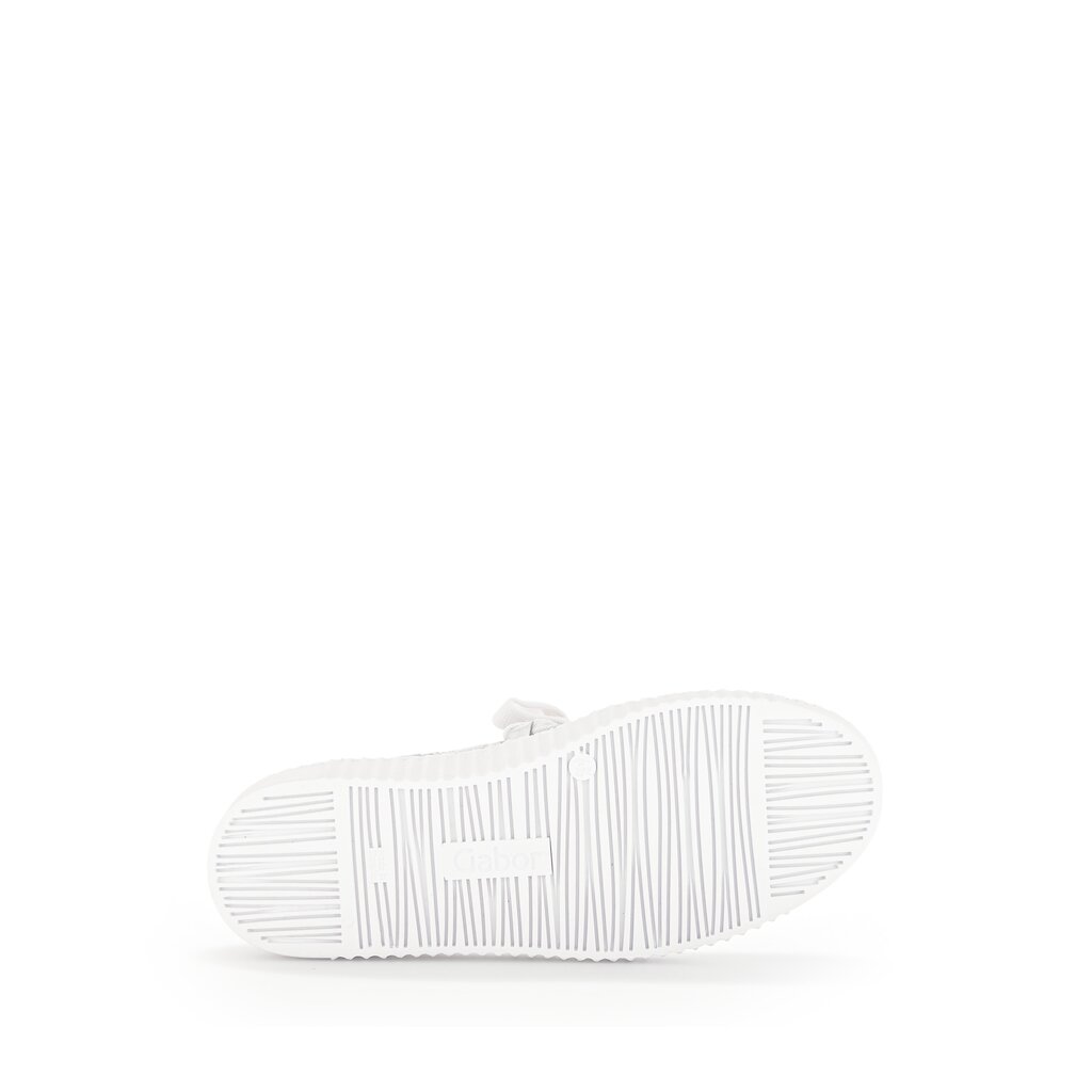 Pius Gabor Sneaker low grau Kostenloser Versand international