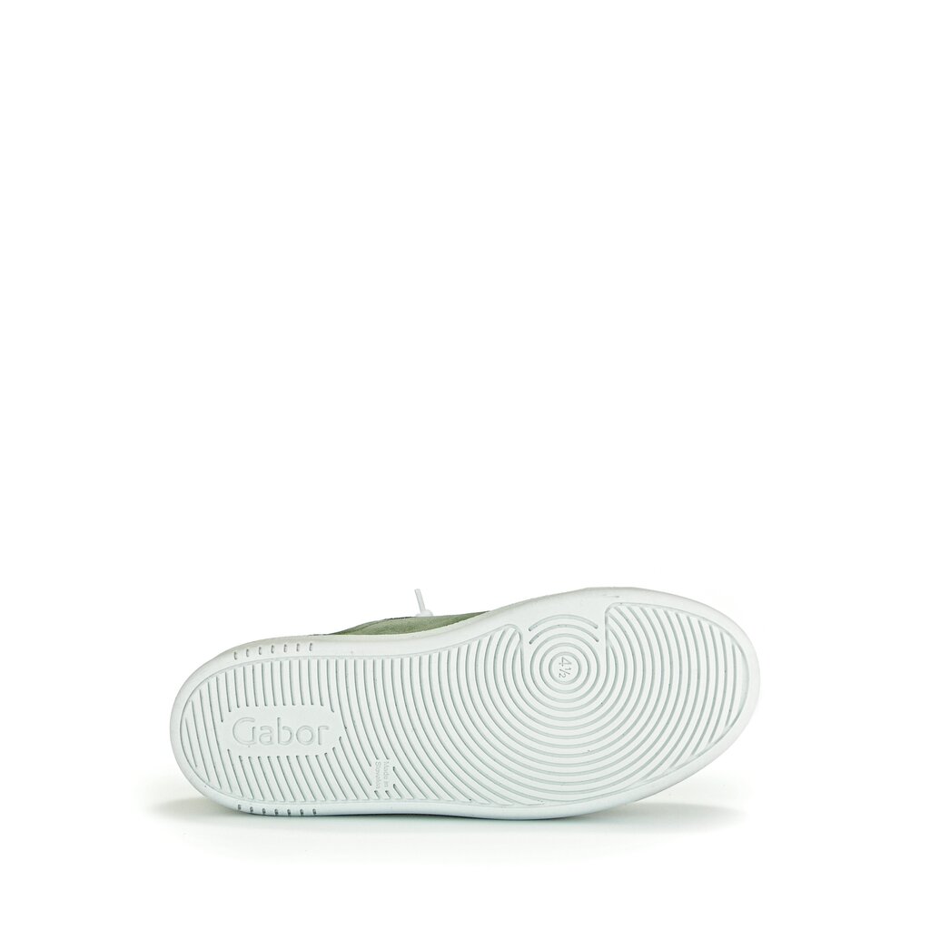 Pius Gabor Sneaker low grün Begrenzt auf 3 Tage