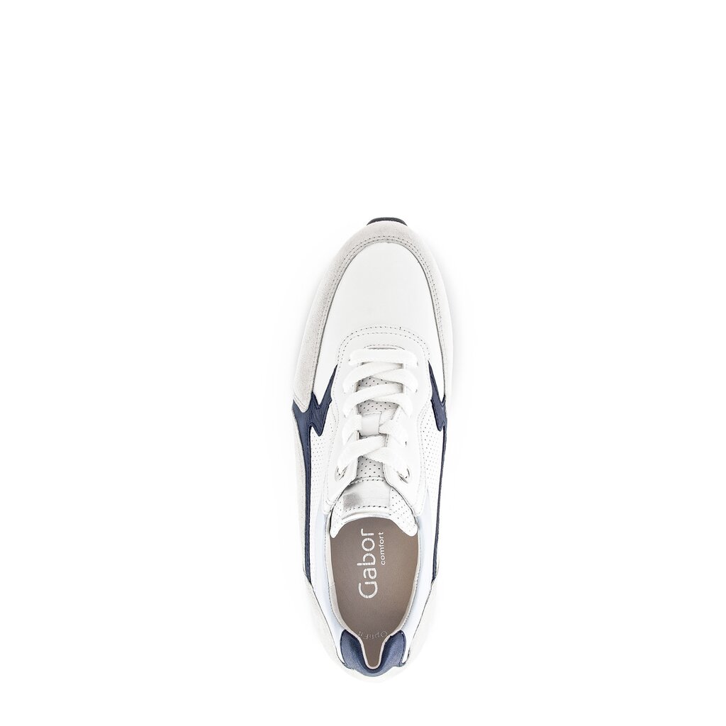 Pius Gabor Sneaker low multicolour 50% Rabatt für begrenzte Zeit